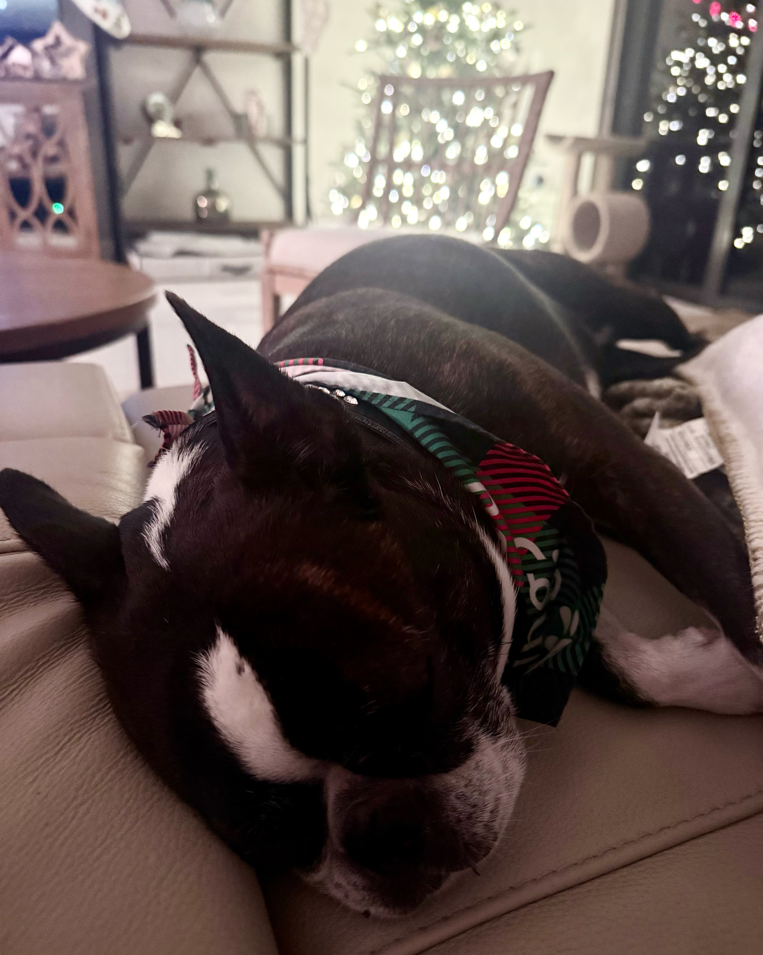 Housing activation and safe sites